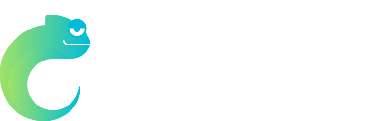 Betzest Logo Transp