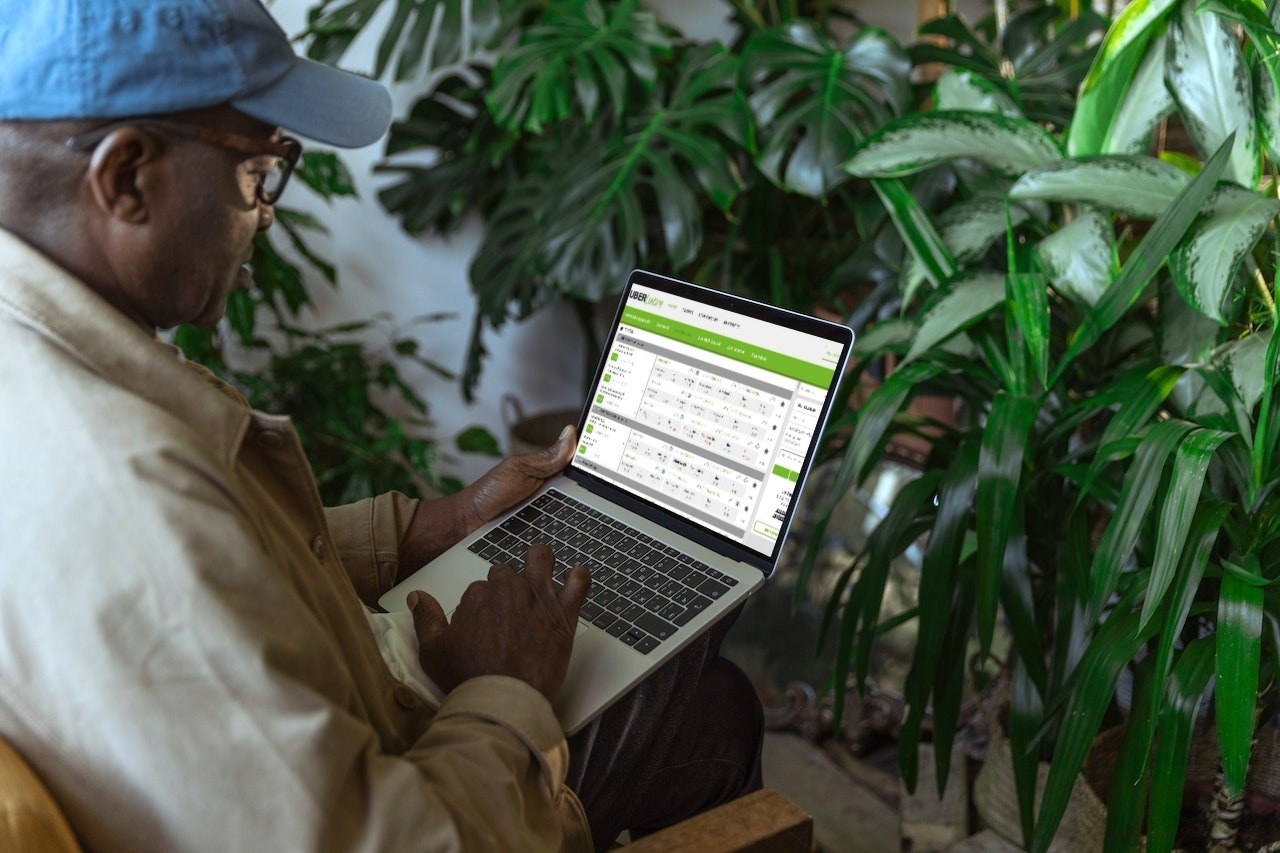 Uberlucky Livewetten