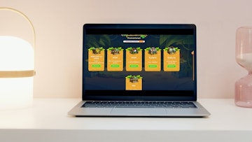 Wazamba Bonusangebote