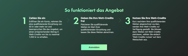 Bet 365 So funktionierts